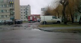zdjęcie nr 9