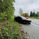 Fotka nr 2 z 4