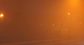 IMG_7304