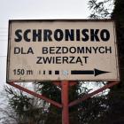 Fotka nr 0 z 66