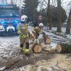 zdjęcie nr 21