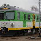 Fotka nr 2 z 10