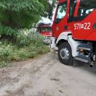 Fotka nr 2 z 4