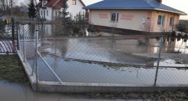 zdjęcie nr 46