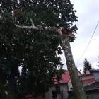 zdjęcie nr 8