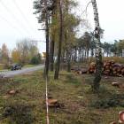 zdjęcie nr 17