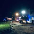 Fotka nr 2 z 11