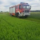 Fotka nr 1 z 4