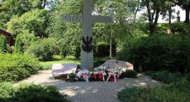 zdjęcie nr 32