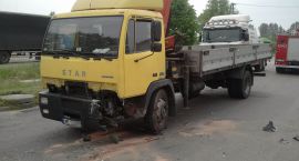 Fotka nr 3 z 10