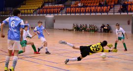 zdjęcie nr 12