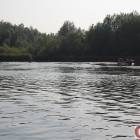 zdjęcie nr 10
