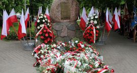 zdjęcie nr 142