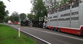 zdjęcie nr 9