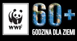 logowwf