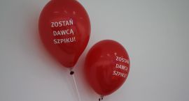 Fotka nr 5 z 14