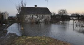 zdjęcie nr 43