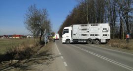 Fotka nr 1 z 6