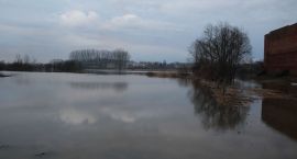 zdjęcie nr 12