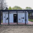 zdjęcie nr 7