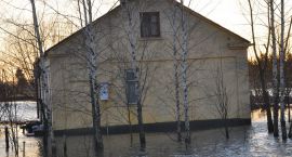 zdjęcie nr 31