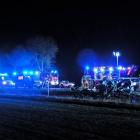 zdjęcie nr 12