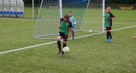 zdjęcie nr 12