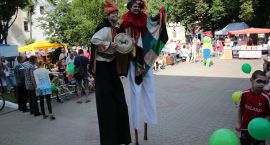 zdjęcie nr 7