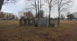 Fotka nr 2 z 12