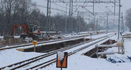 zdjęcie nr 7