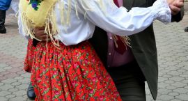zdjęcie nr 46