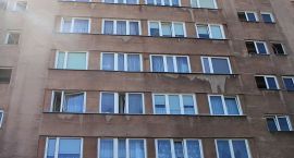 zdjęcie nr 74