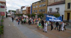 zdjęcie nr 33