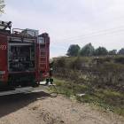 Fotka nr 5 z 9