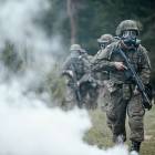 Fotka nr 5 z 10