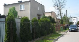 Fotka nr 3 z 8