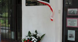 zdjęcie nr 7