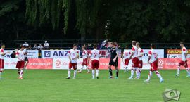 zdjęcie nr 10