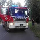 Fotka nr 4 z 6