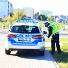 Fotka nr 2 z 21