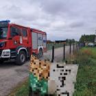 Fotka nr 2 z 6