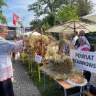zdjęcie nr 7