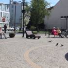 zdjęcie nr 8
