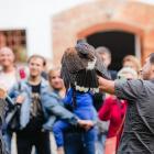 zdjęcie nr 91
