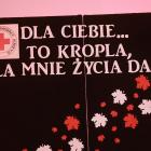 zdjęcie nr 36