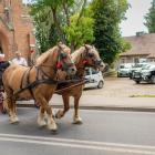 zdjęcie nr 133