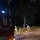 Fotka nr 2 z 17