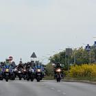 zdjęcie nr 169