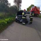 Fotka nr 5 z 7