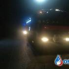 Fotka nr 2 z 4